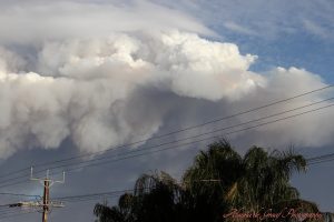 IMG_0281