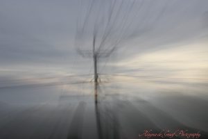 IMG_0332